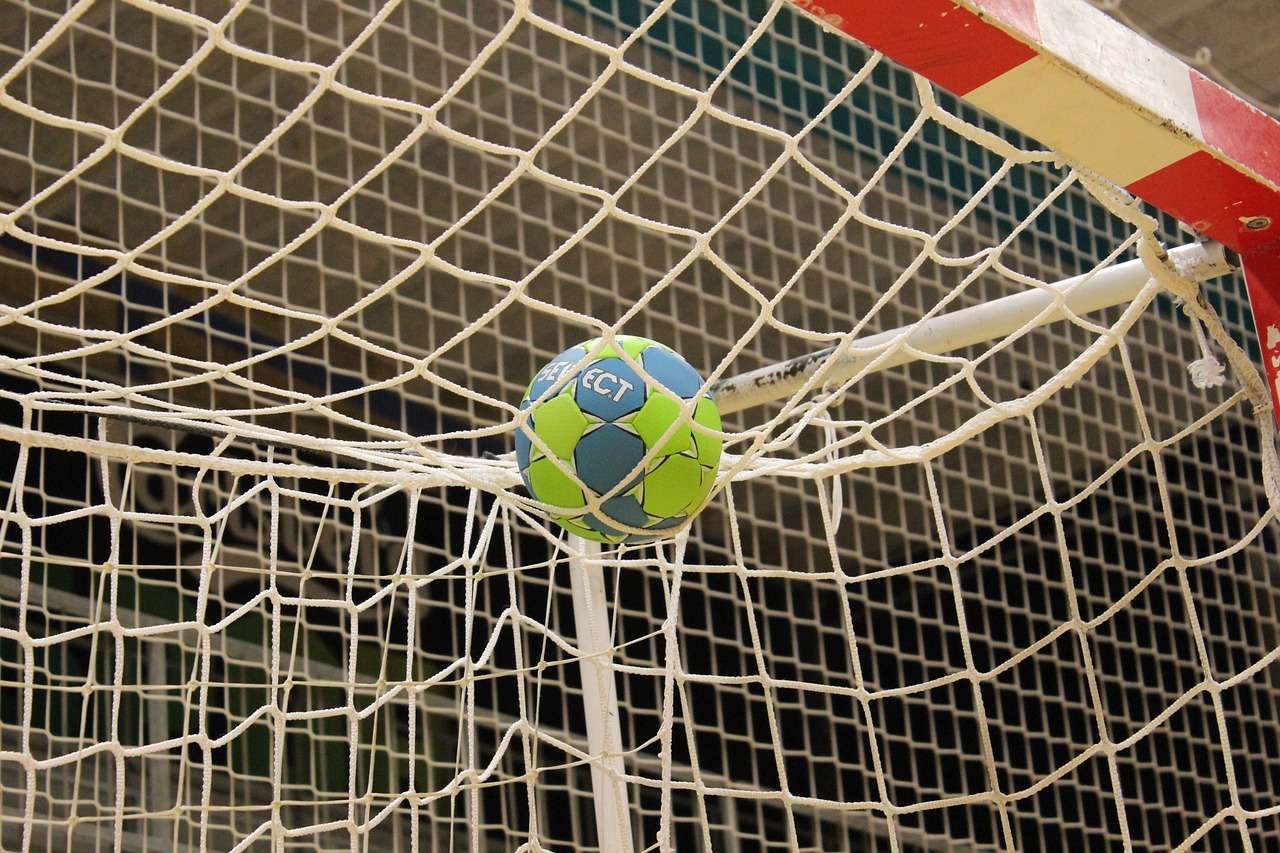 Ball on a net